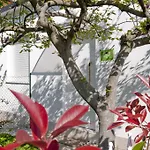 住宿加早餐酒店 卧室住宿加早餐旅馆 佩斯卡拉