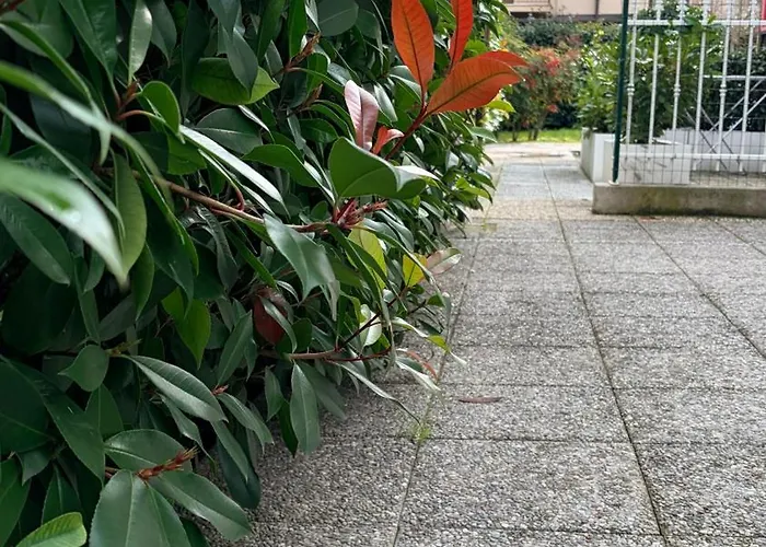 卧室住宿加早餐旅馆 3*