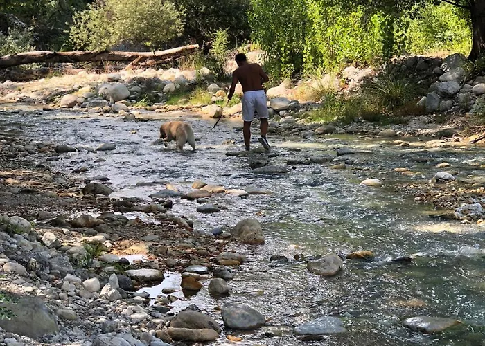 卧室住宿加早餐旅馆