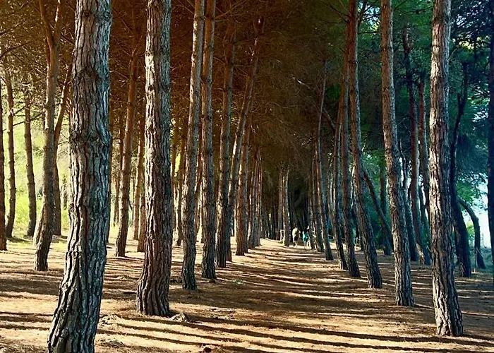 卧室住宿加早餐旅馆 住宿加早餐酒店 3*