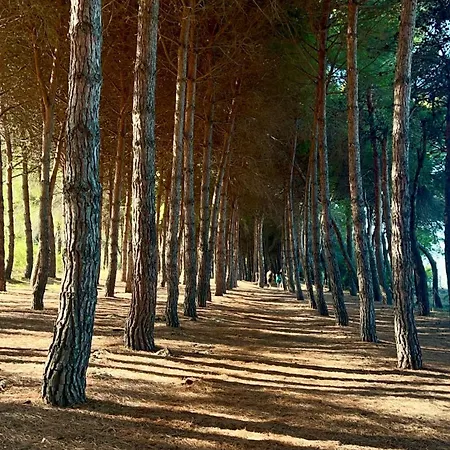 Bedrooms Bed and breakfast 3*