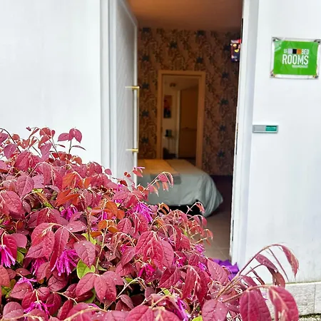 Nocleg ze śniadaniem Bedrooms