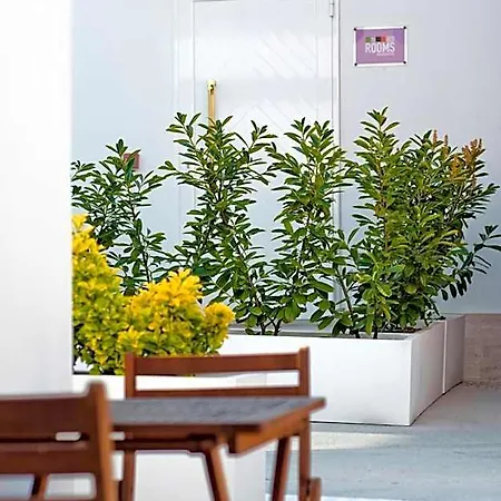 Nocleg ze śniadaniem Bedrooms 3*