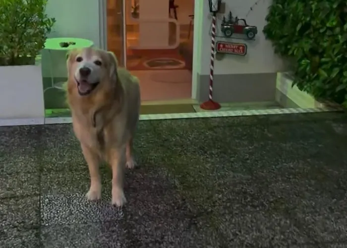 Bed & Breakfast Bedrooms Pescara